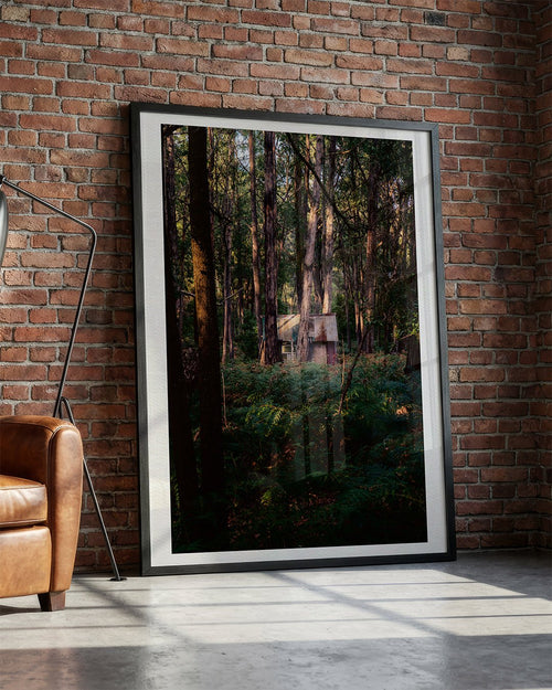 Wall_art - cjlcaptures