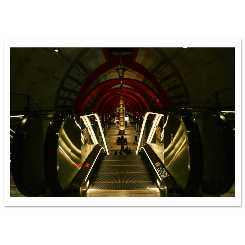 Wall_art - cjlcaptures
