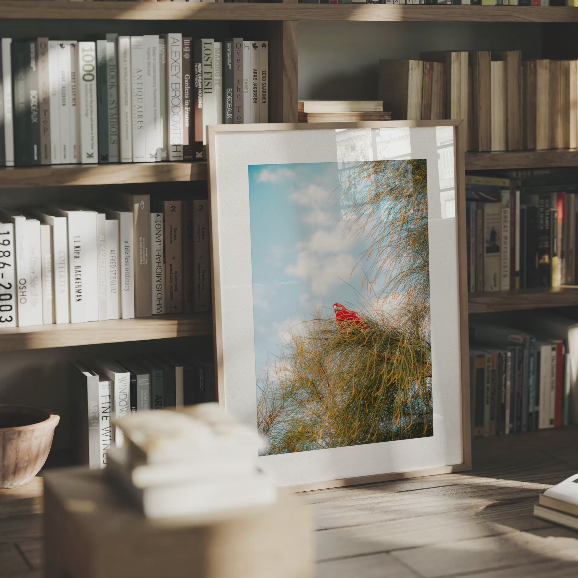 Rosella Dream - Wooden Framed Print