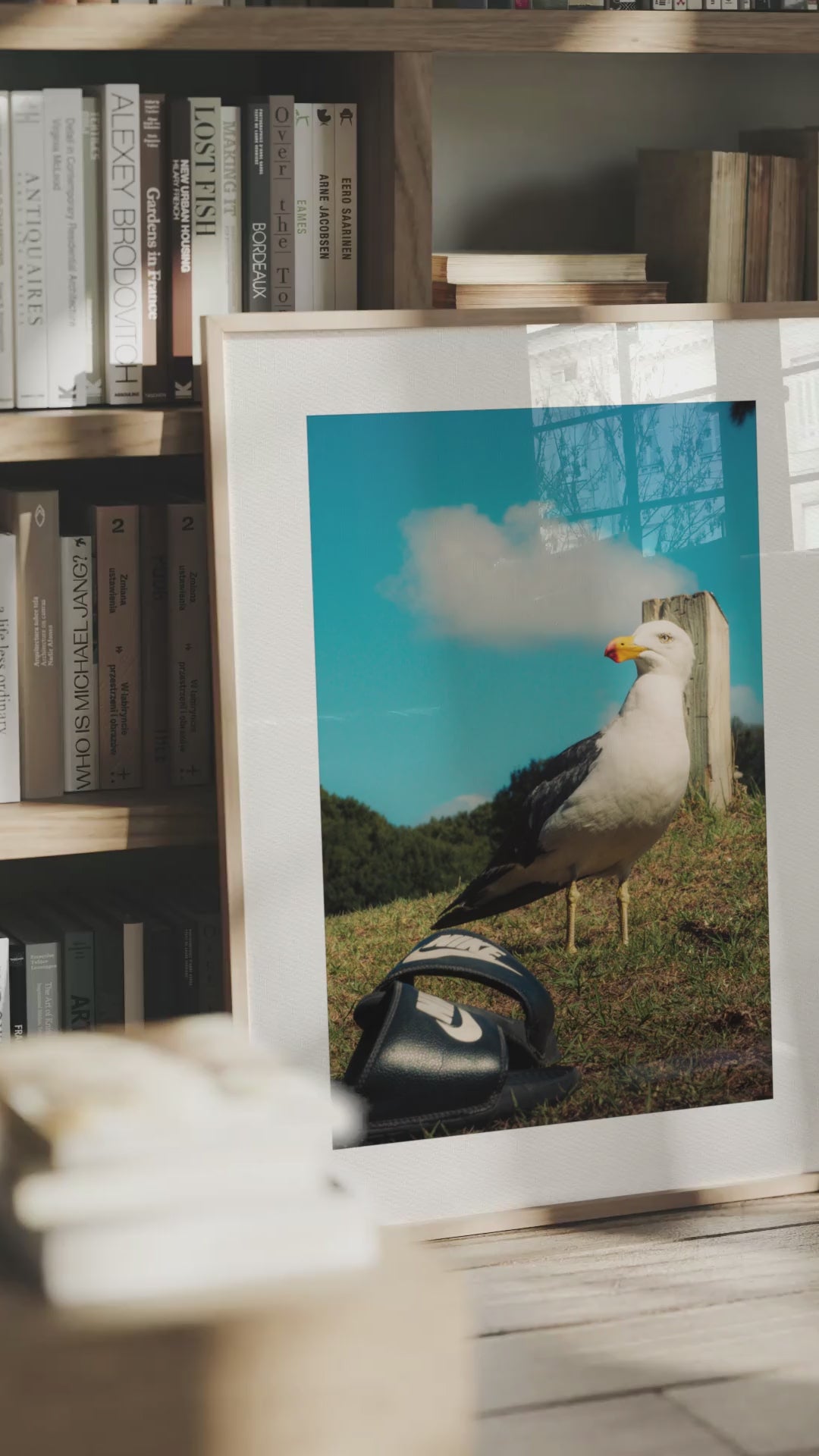Nike Gull - Wooden Framed Print
