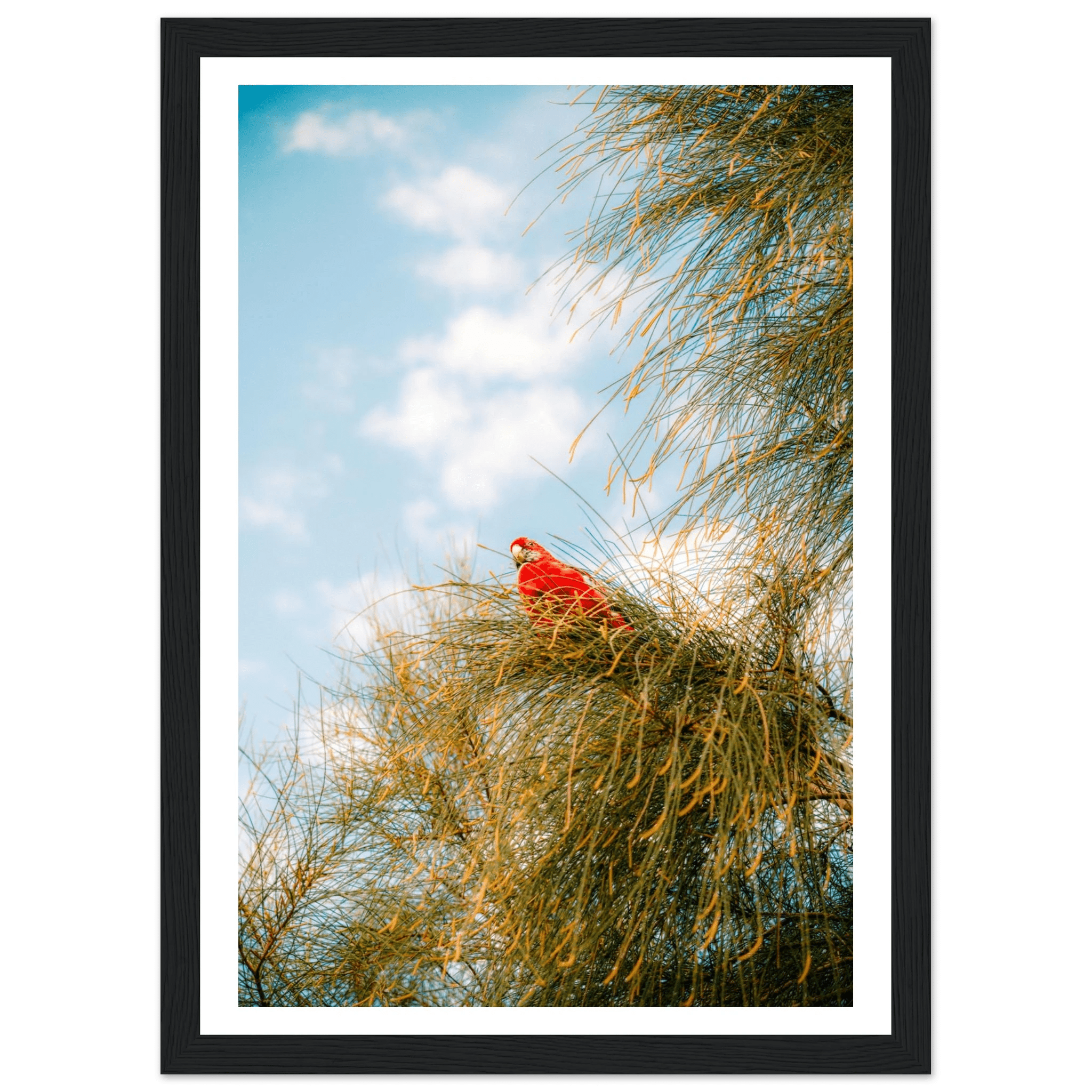 Wall_art - cjlcaptures