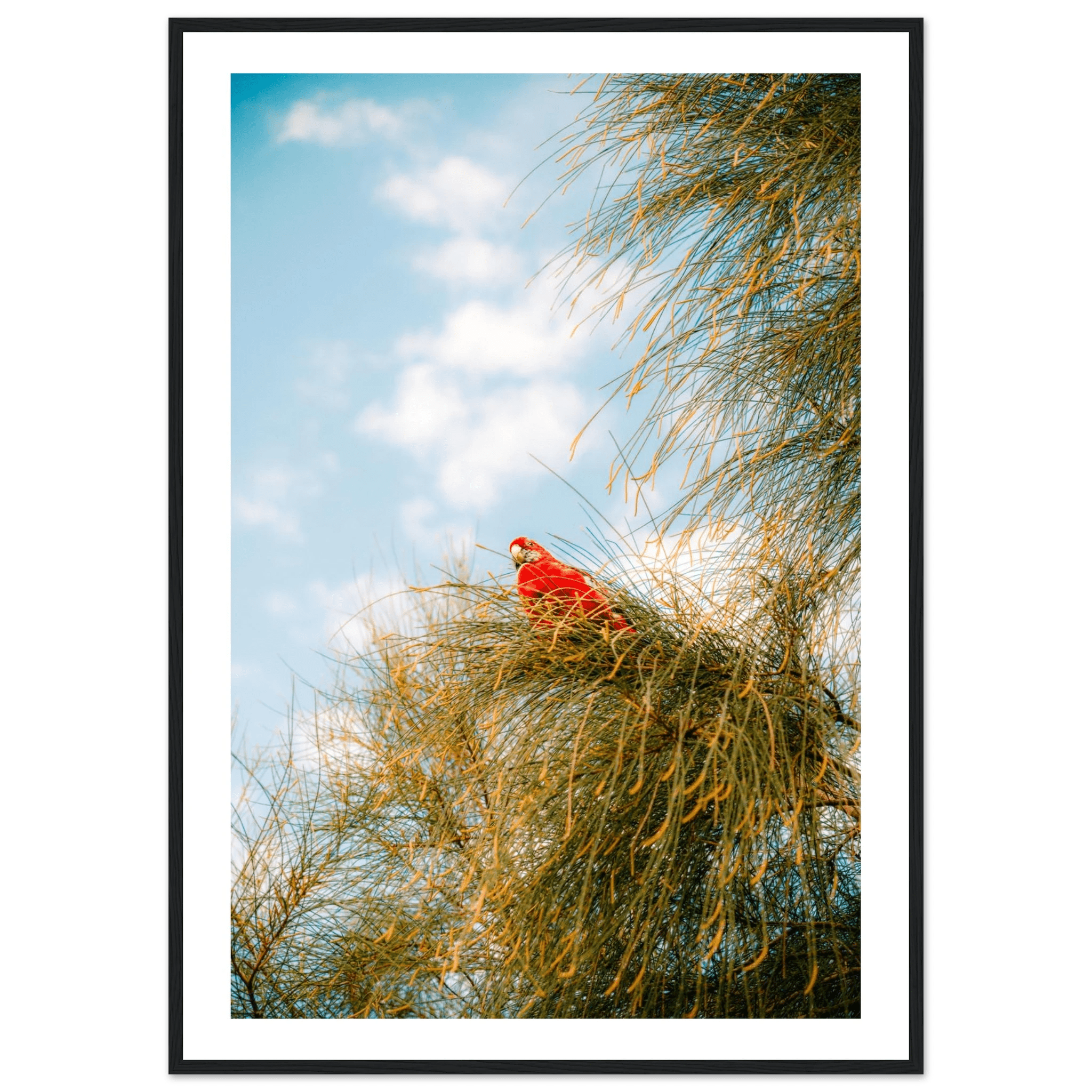 Wall_art - cjlcaptures