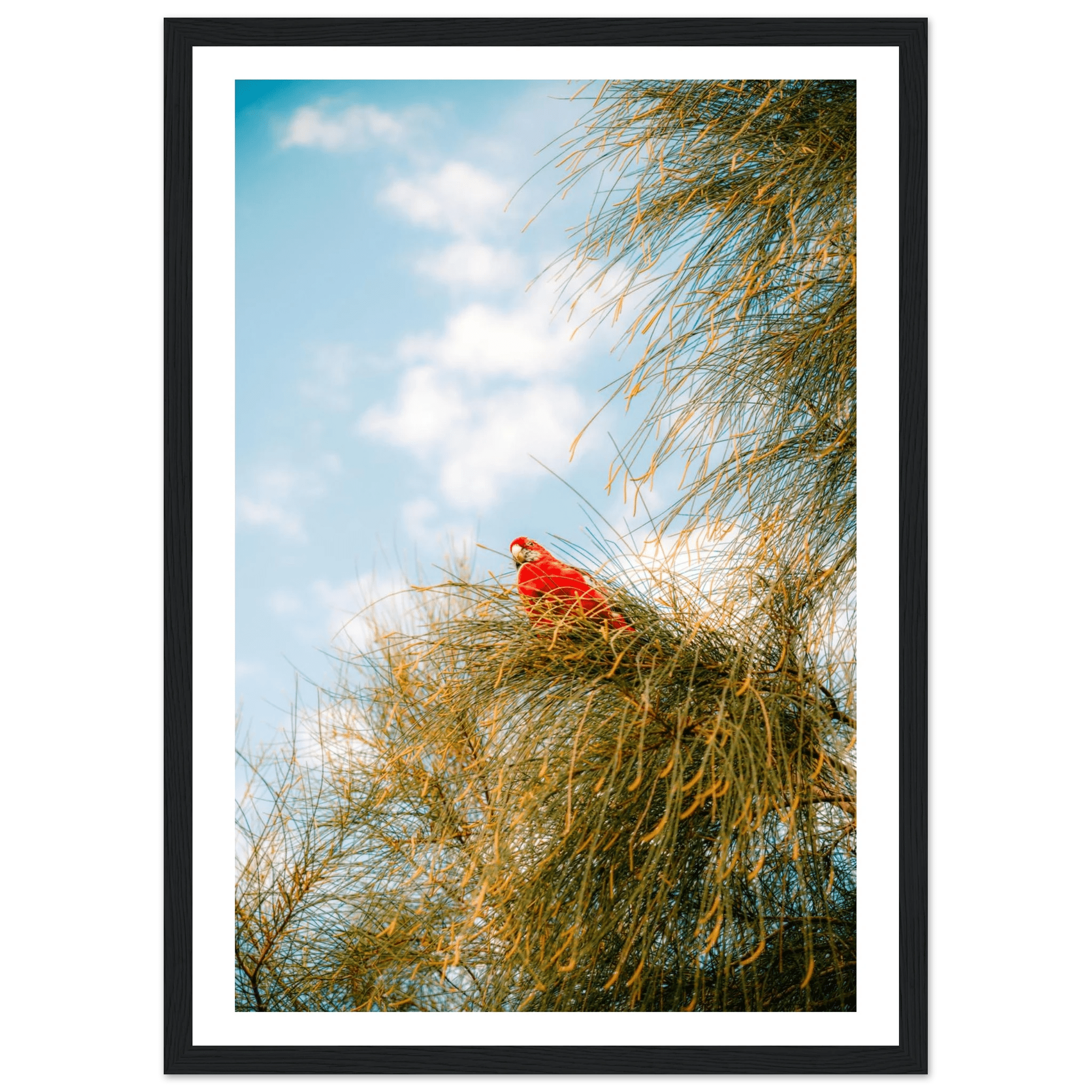 Wall_art - cjlcaptures