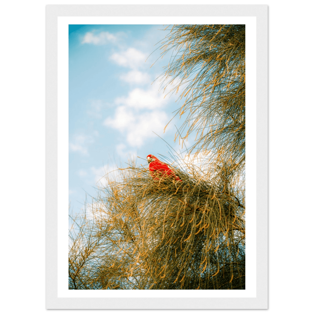 Wall_art - cjlcaptures