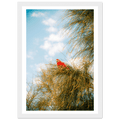 Wall_art - cjlcaptures