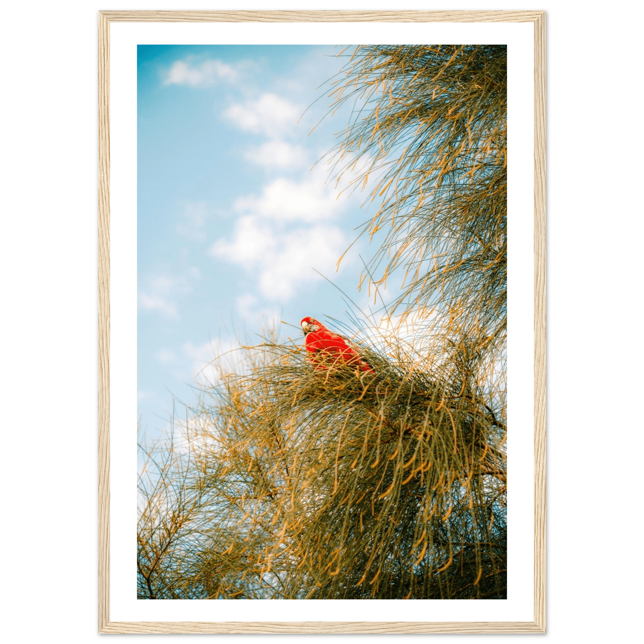 Wall_art - cjlcaptures