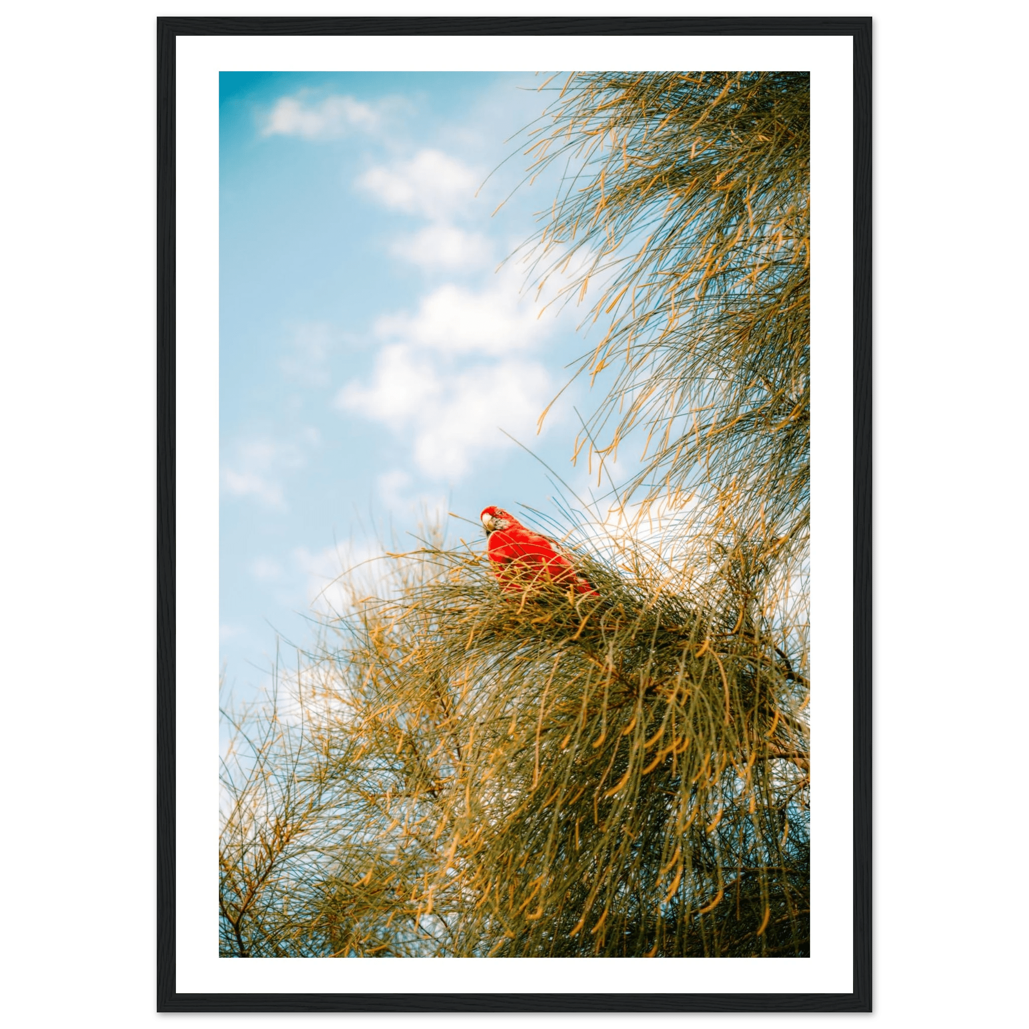 Wall_art - cjlcaptures