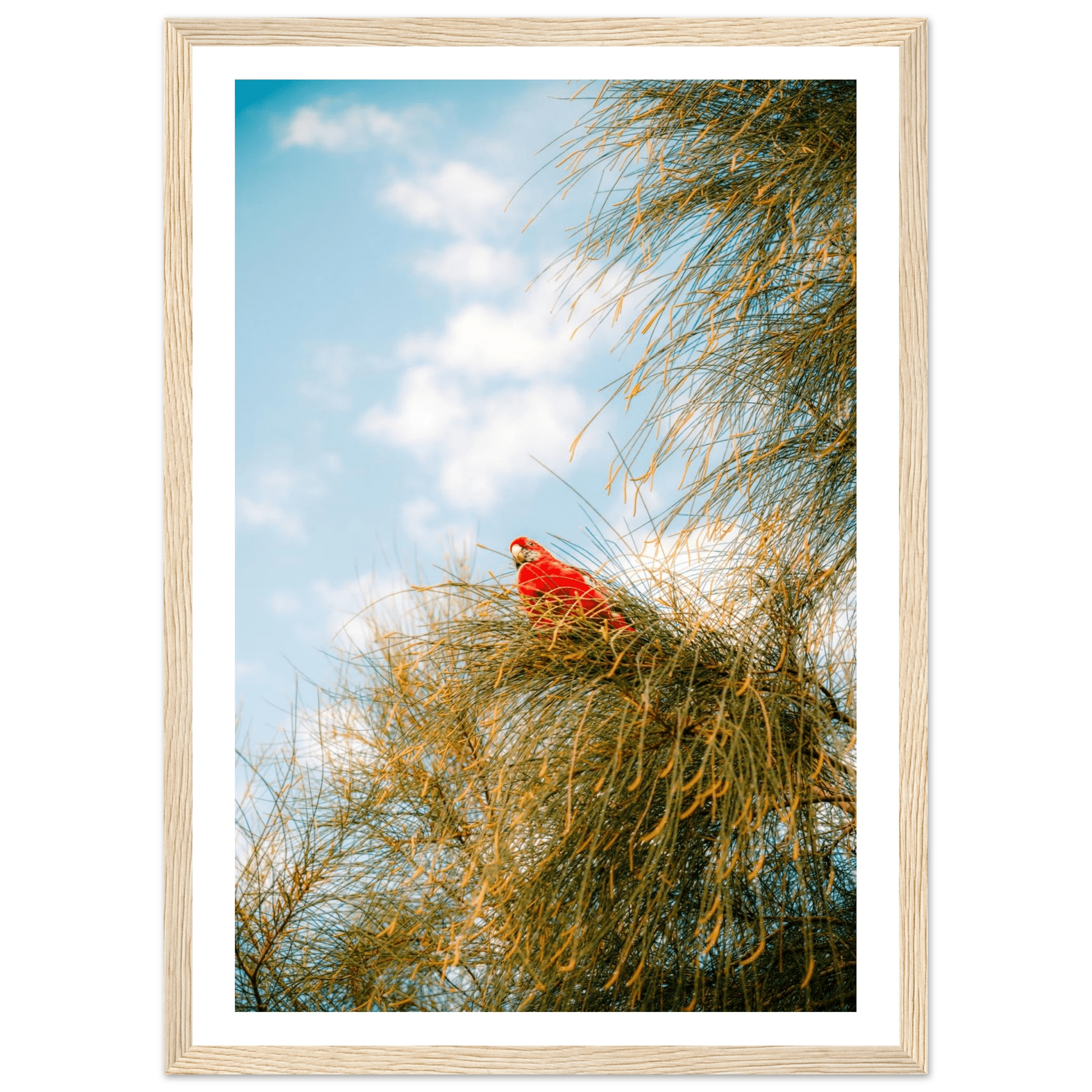 Wall_art - cjlcaptures