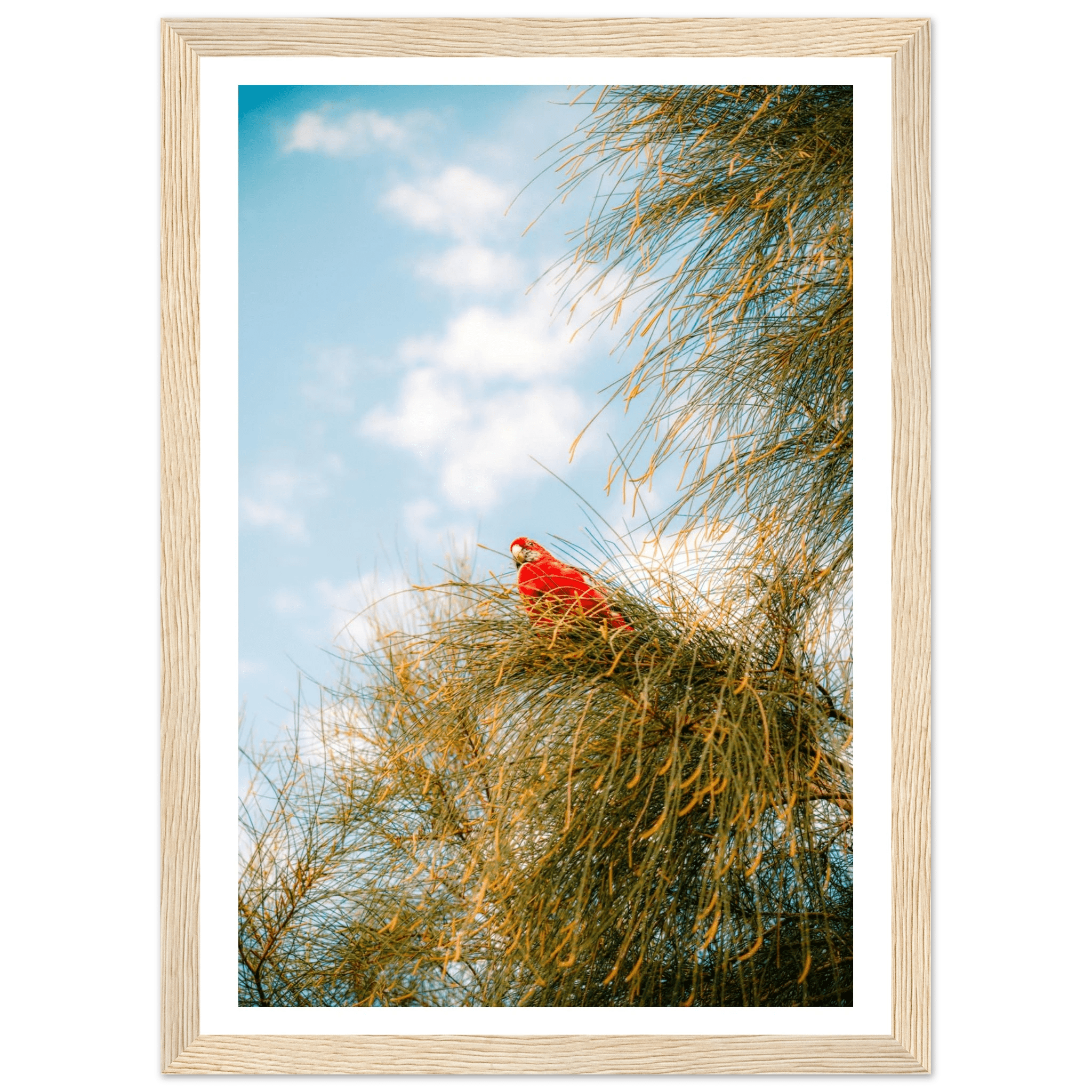 Wall_art - cjlcaptures