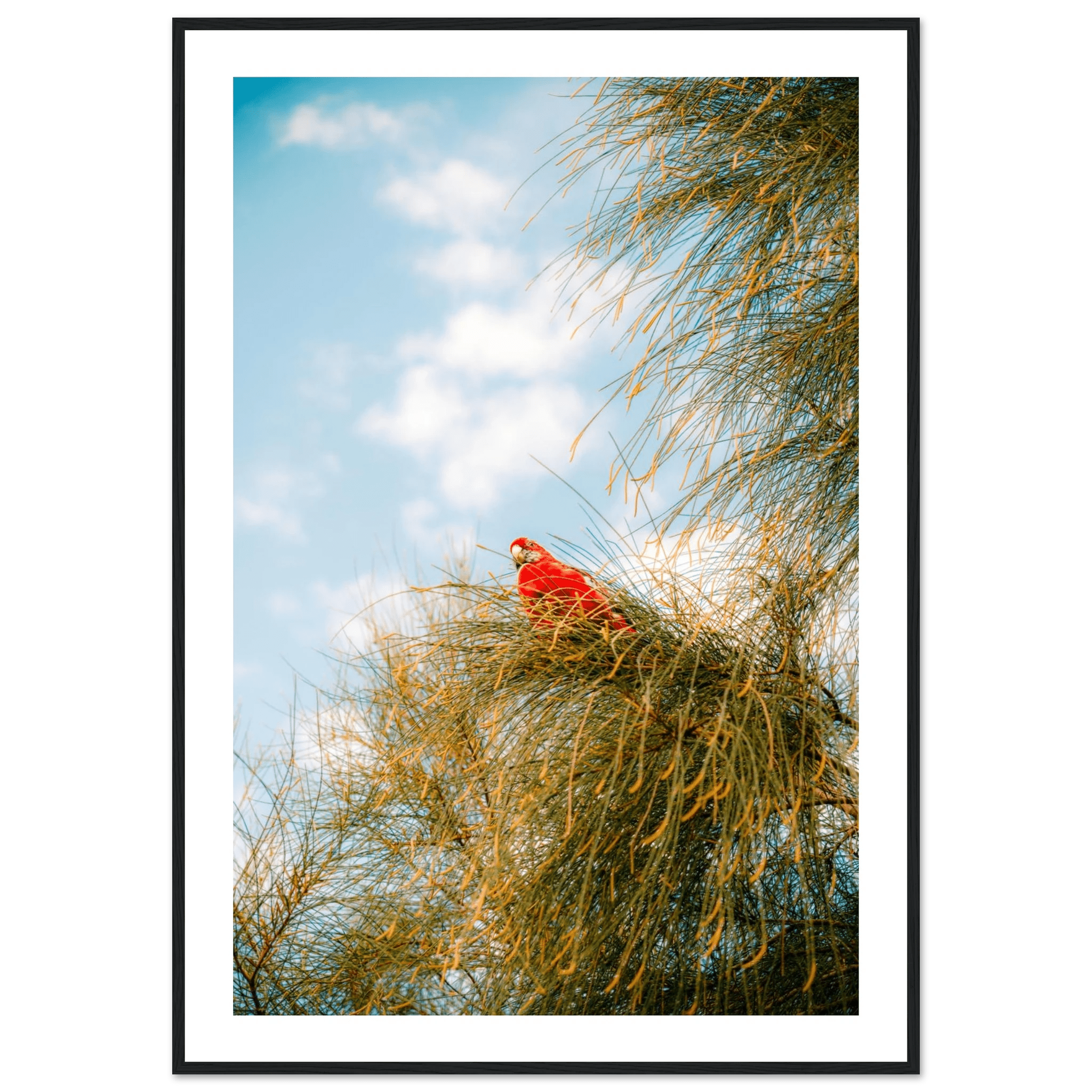 Wall_art - cjlcaptures