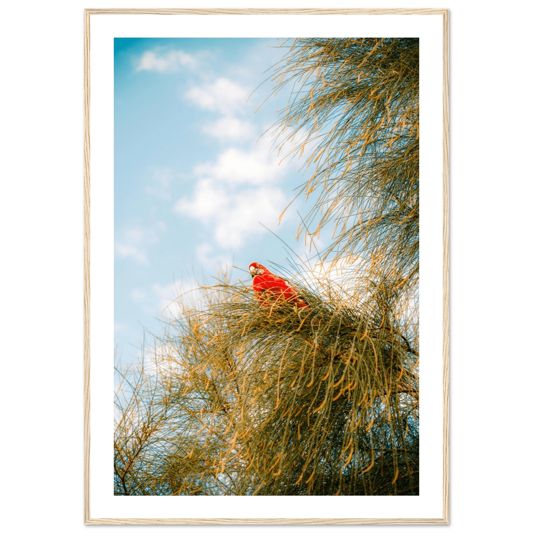 Wall_art - cjlcaptures